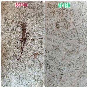 carpet stains rgkhrjghegiwgzz01r6cb3hoqc8hpdf0n96bqeuy7s